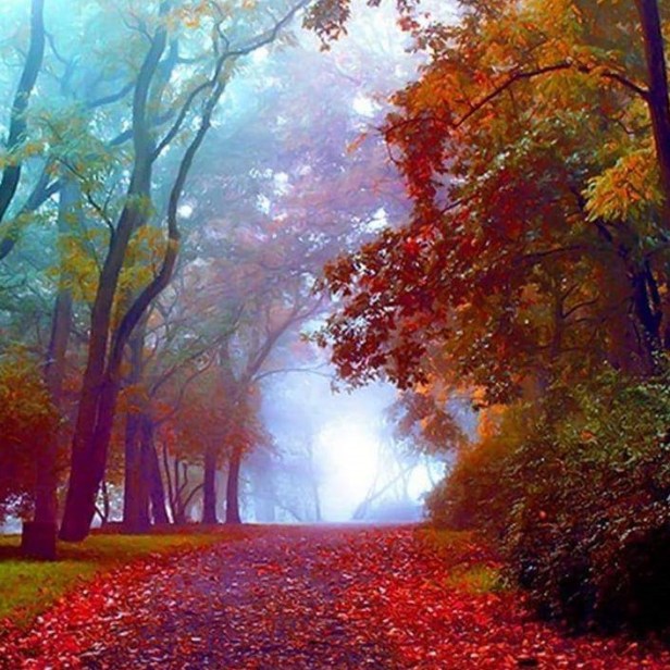 FB_IMG_1504038771774