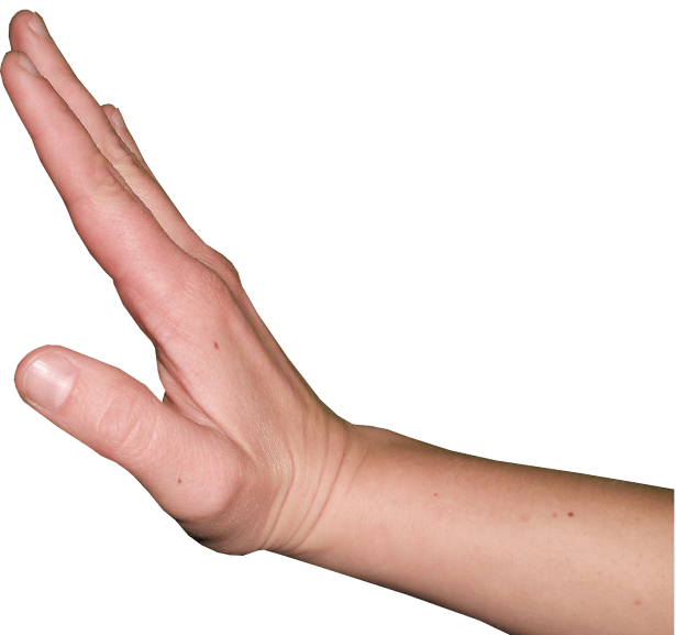 hand-gesture-244360_1920 (1)